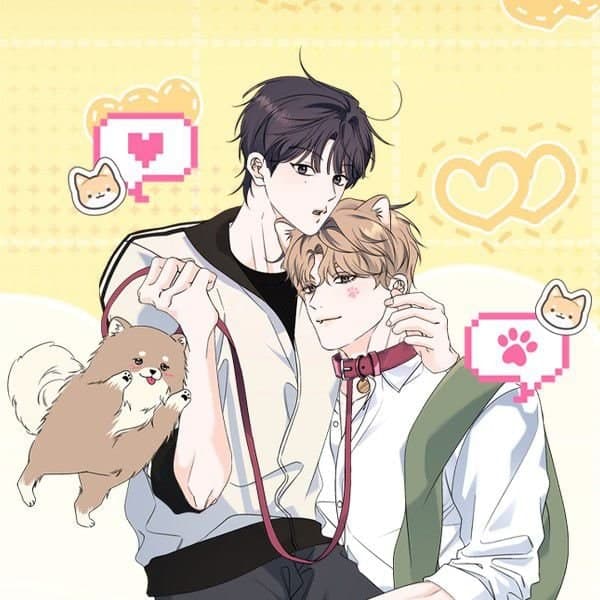 Do You Have a Favorite Dog