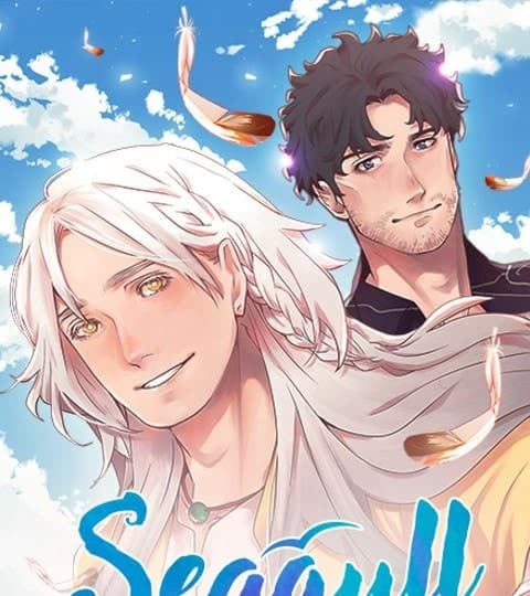Seagull