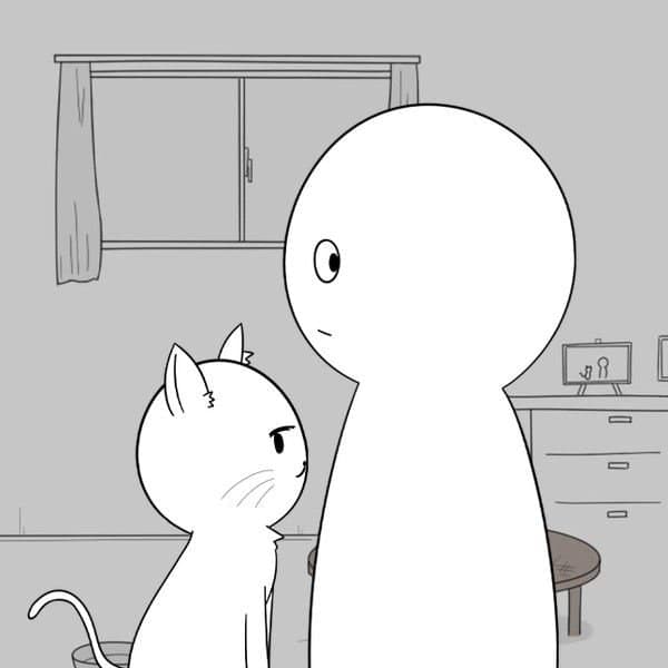 The Studying Cat