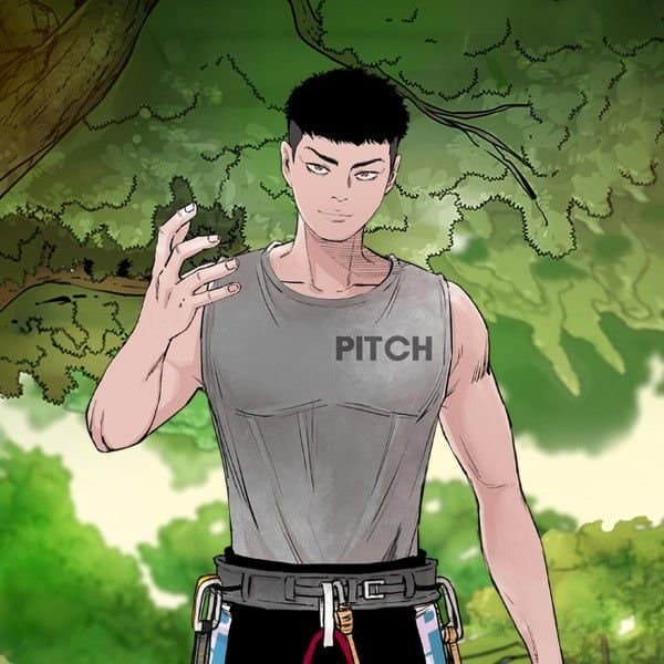 Pitch
