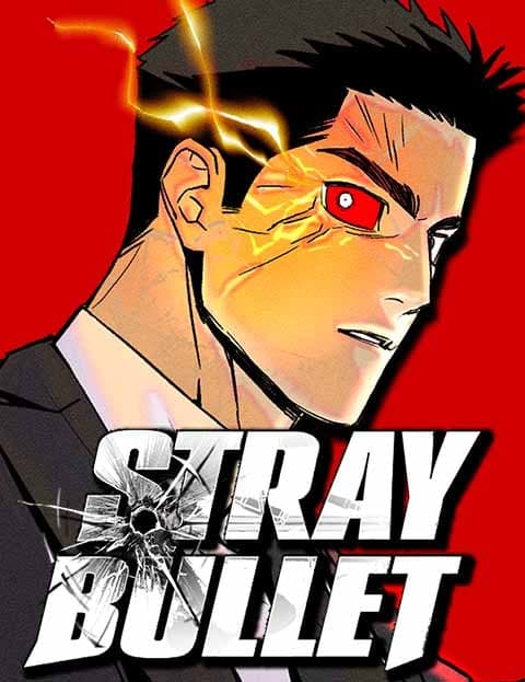 Stray Bullet